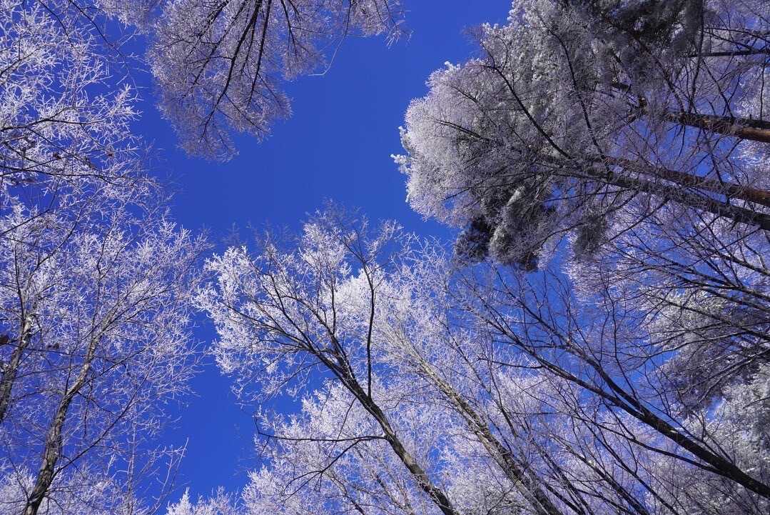 あさまの森オートキャンプ場の写真 2枚目