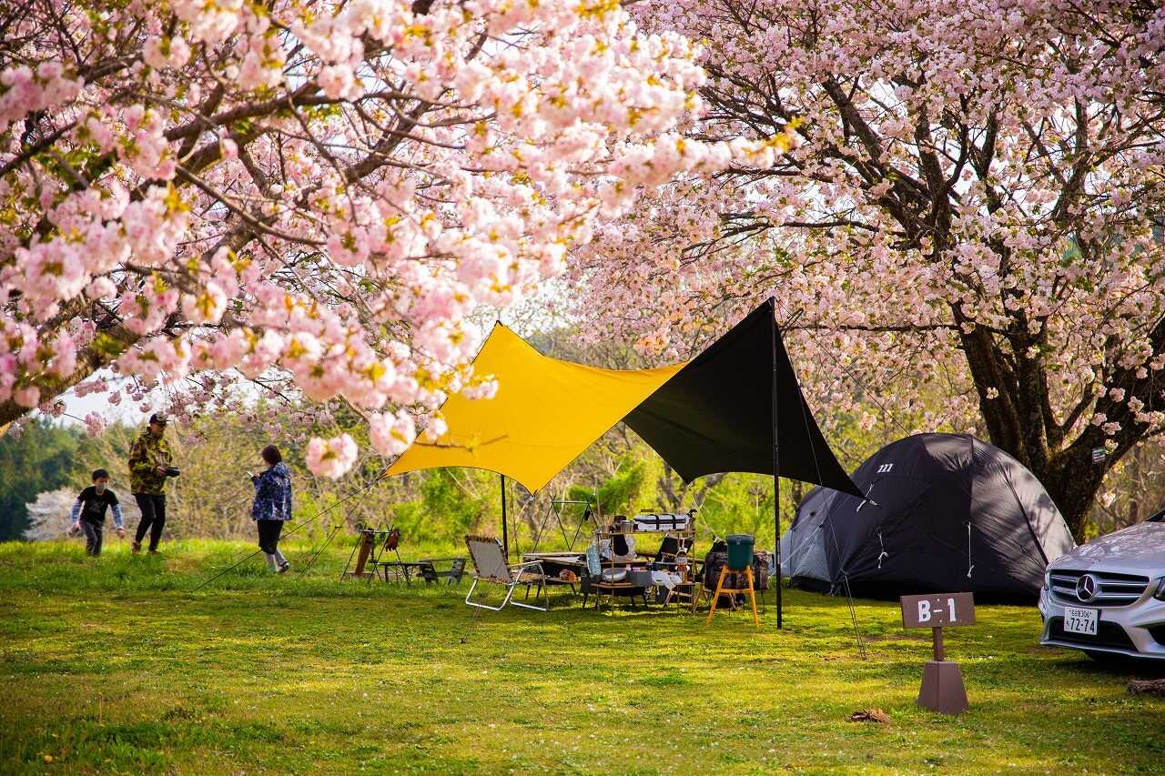 千人塚公園キャンプ場の写真 4枚目