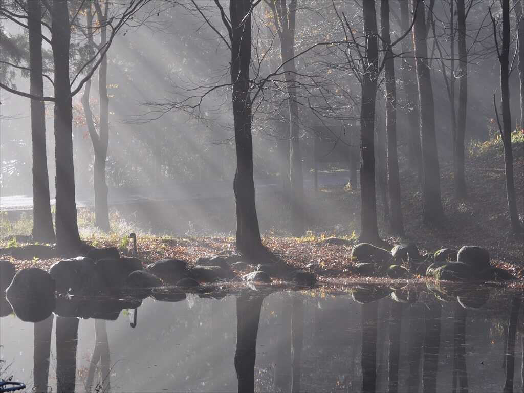 ながた自然公園キャンプ場の写真 3枚目