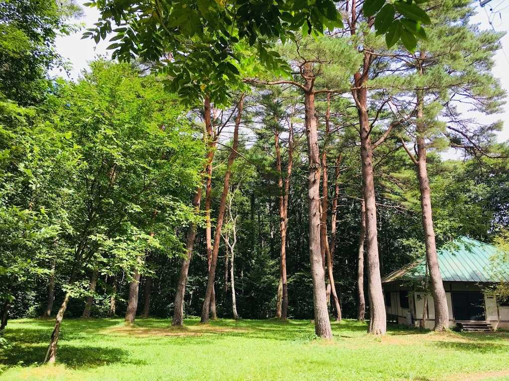 森のロッジ村 ラボランドくろひめ photo 3