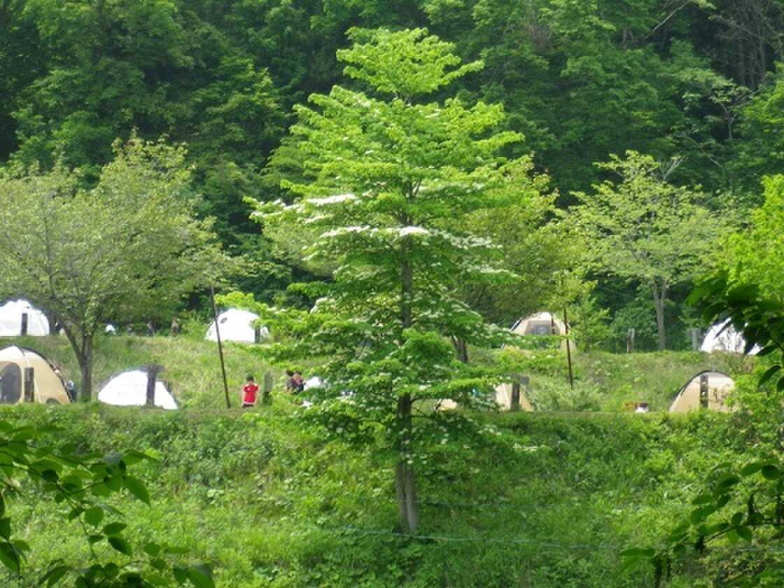 【H31/4現在閉鎖中】 野尻湖高原キャンプ場