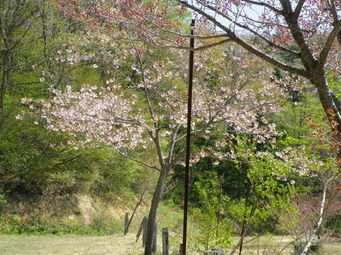 【H31/4現在閉鎖中】 野尻湖高原キャンプ場
