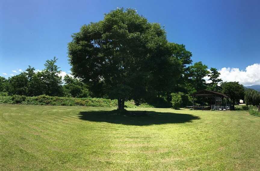 ミノワリバーサイドオートキャンプ場