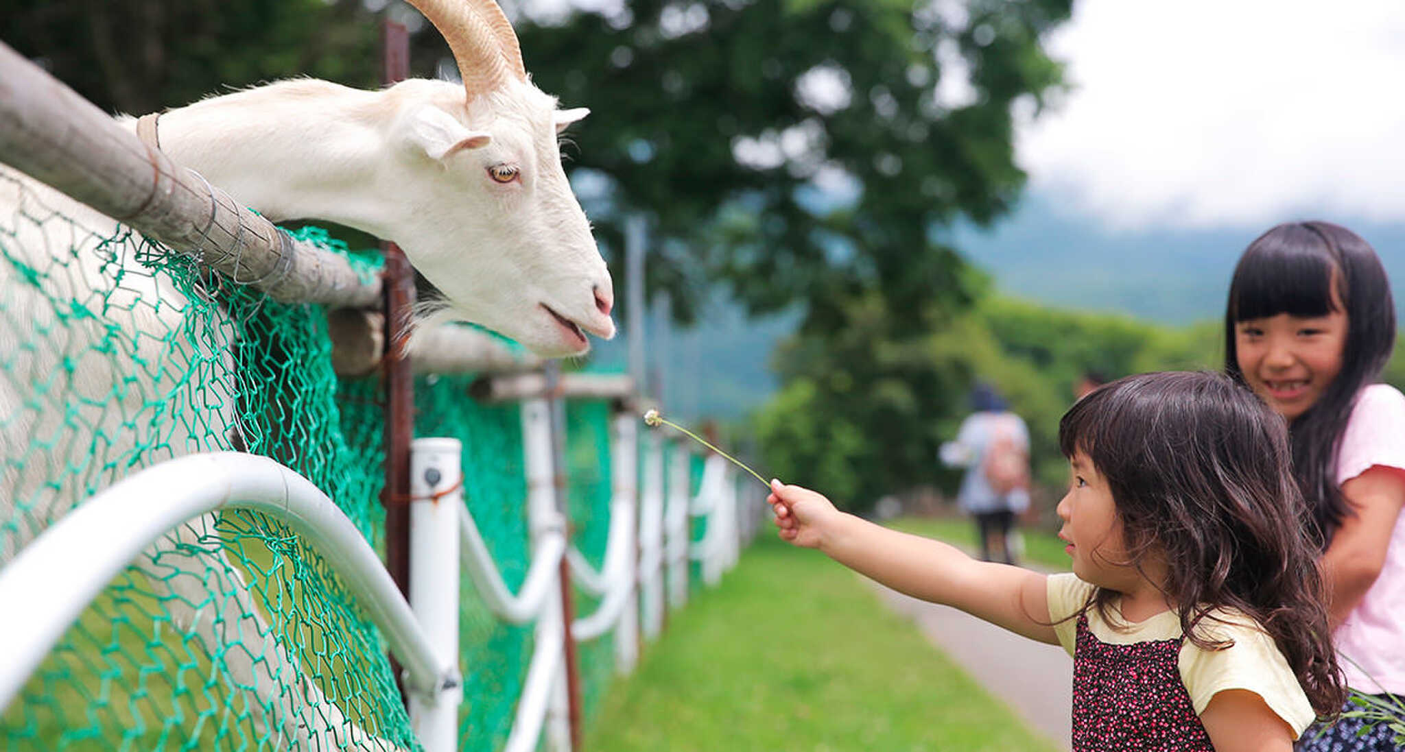 小動物とのふれあいもできる人気の『戸隠牧場』はなんとキャンプ場利用者は”無料”でご利用いただけます!乗馬体験や魚のつかみ取り等イベントも開催しています♪