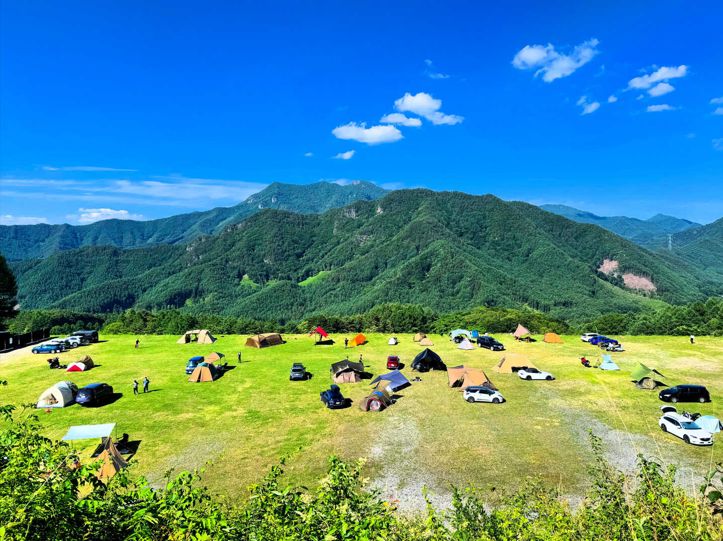 標高1,400m!山の中で高原キャンプを楽しめます。