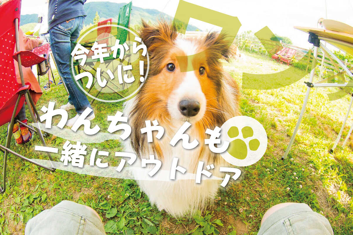長者の森
