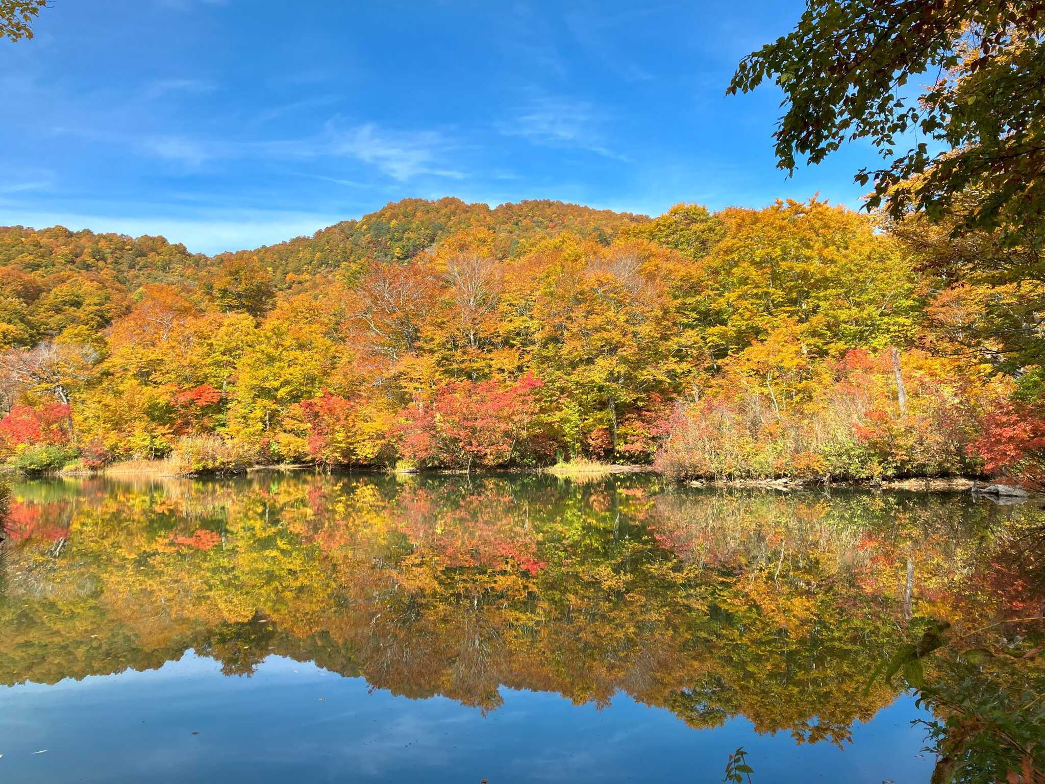 すぐ近くには紅葉で有名な鎌池があります。周囲2㎞には遊歩道が整備されているのでのんびり散策するのにぴったりです。