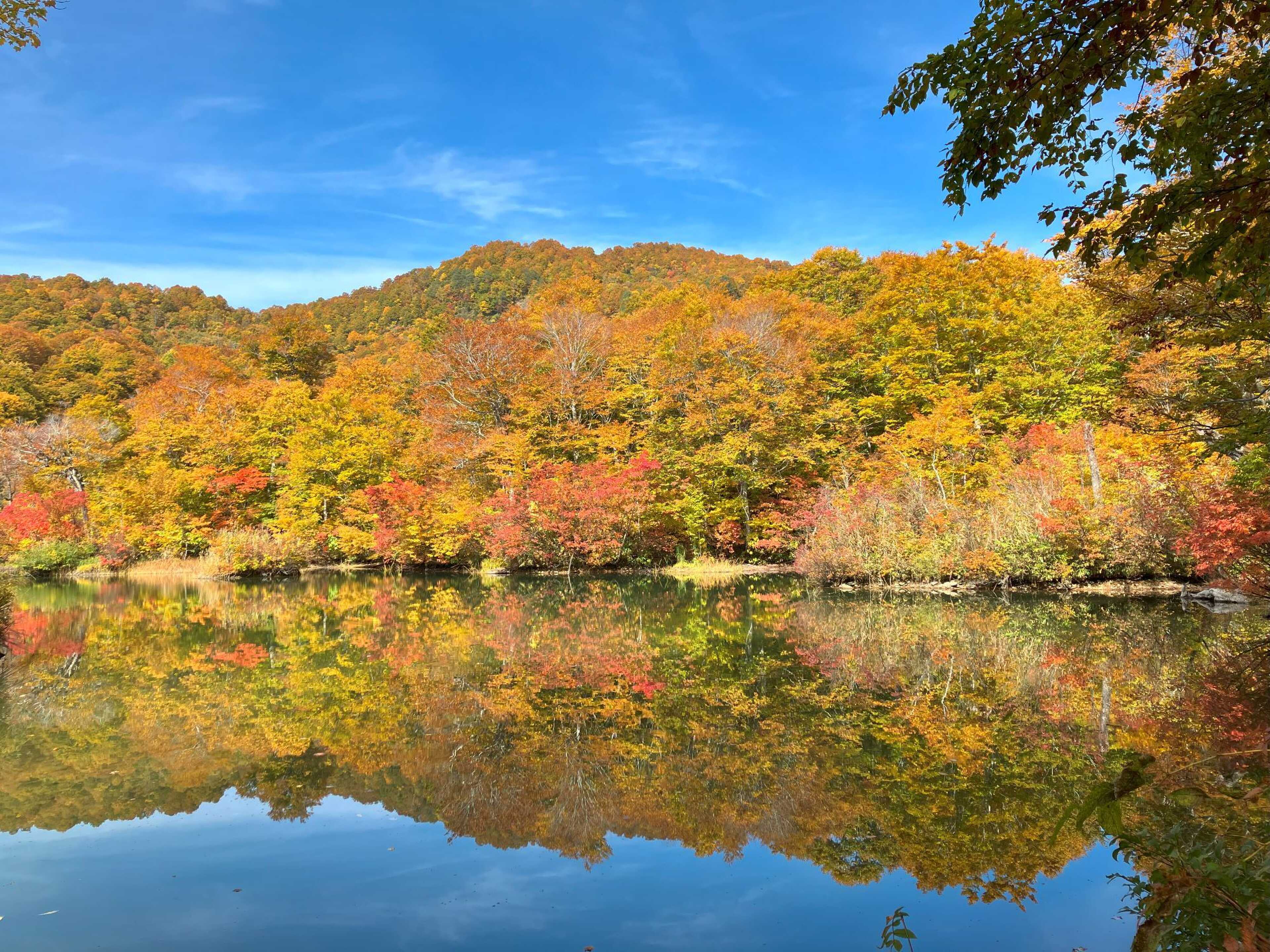 すぐ近くには紅葉で有名な鎌池があります。周囲2㎞には遊歩道が整備されているのでのんびり散策するのにぴったりです。