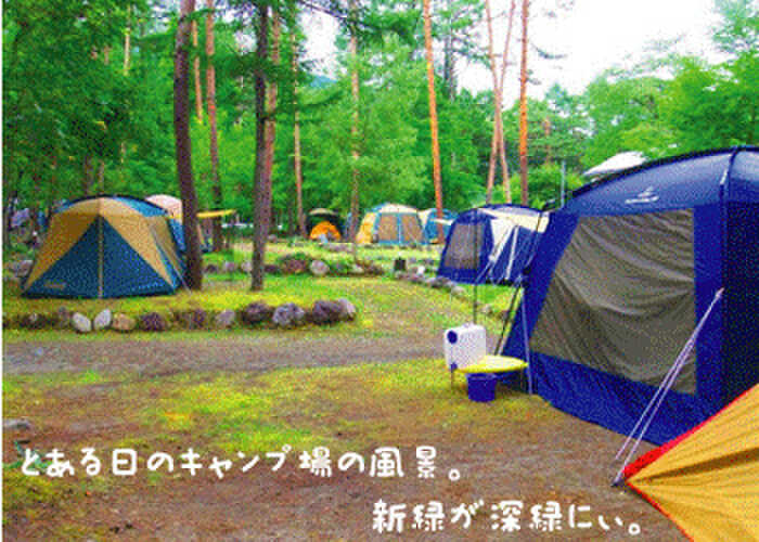 とある日のキャンプ場の風景♪