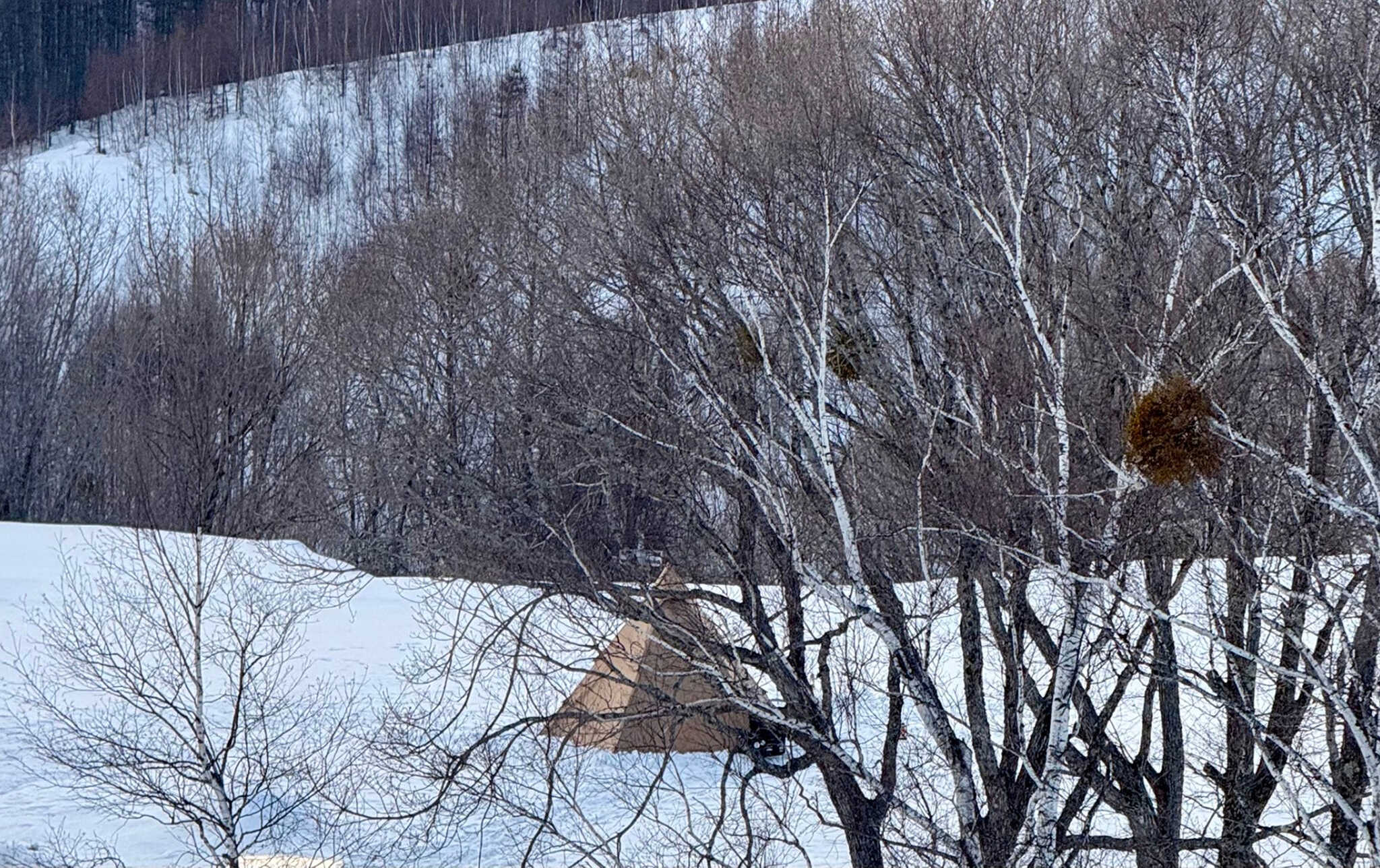 銀河村の写真 2枚目