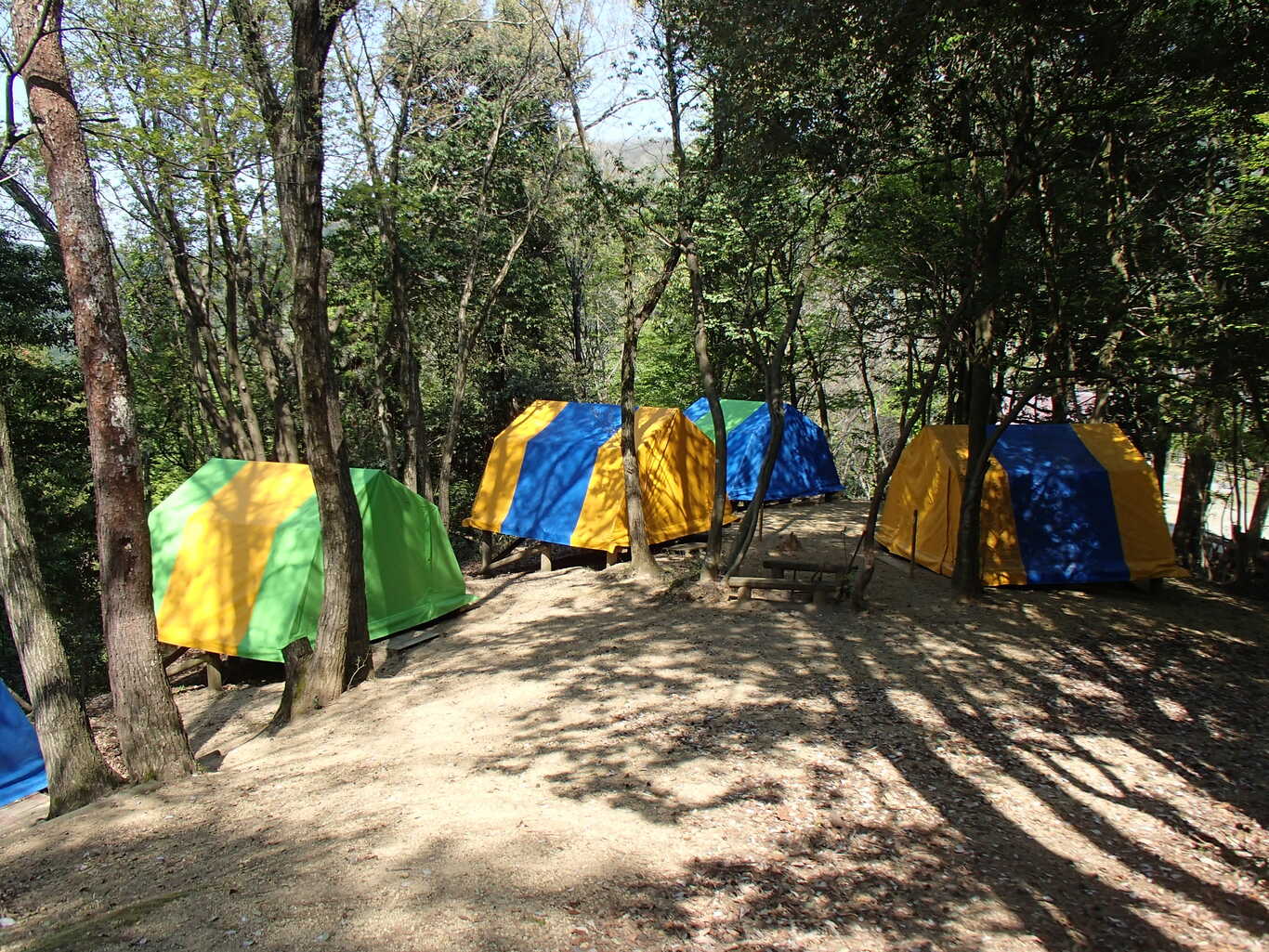 岩美町立町民いこいの里 photo 2