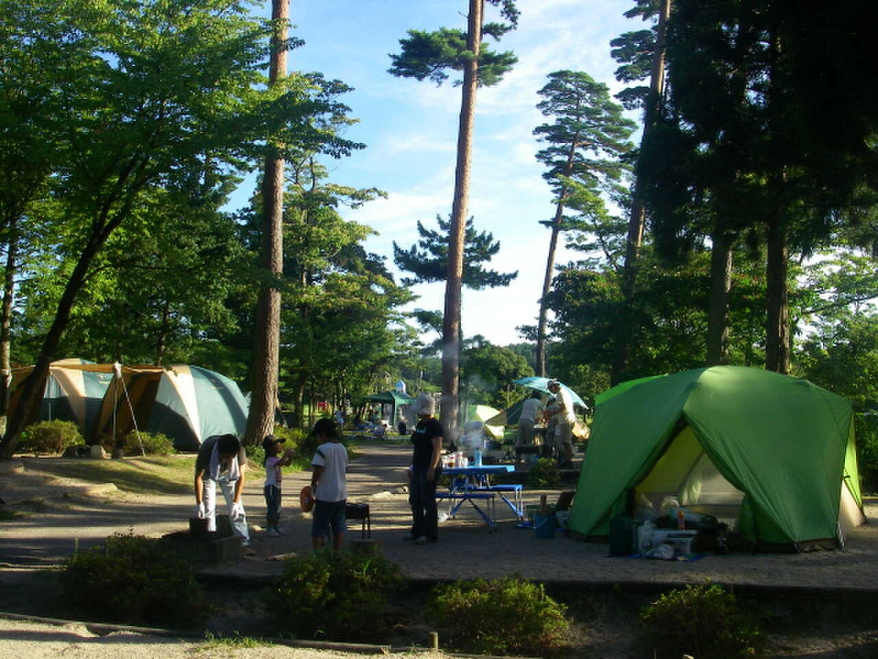 森の国の写真 1枚目