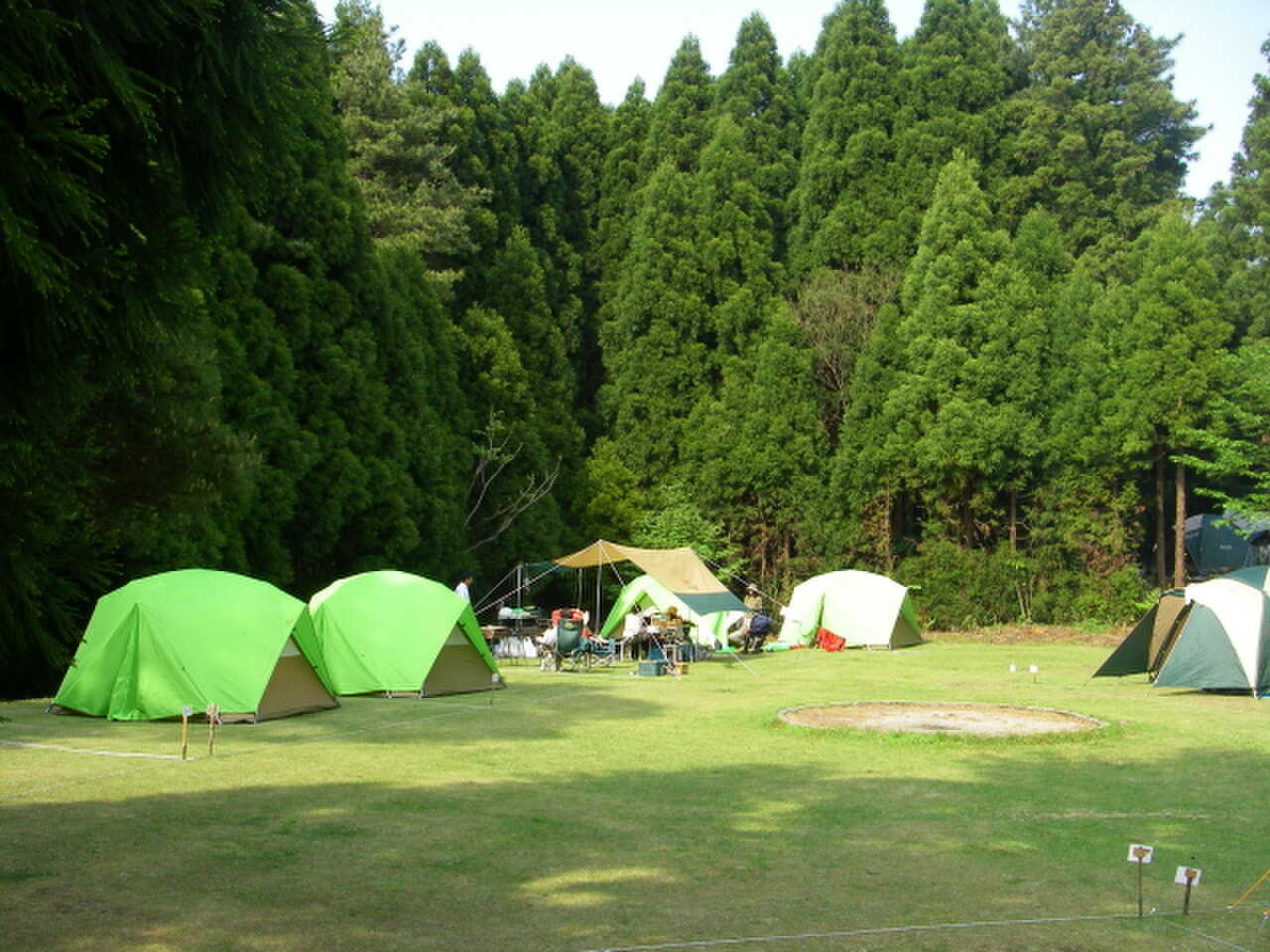 森の国の写真 3枚目