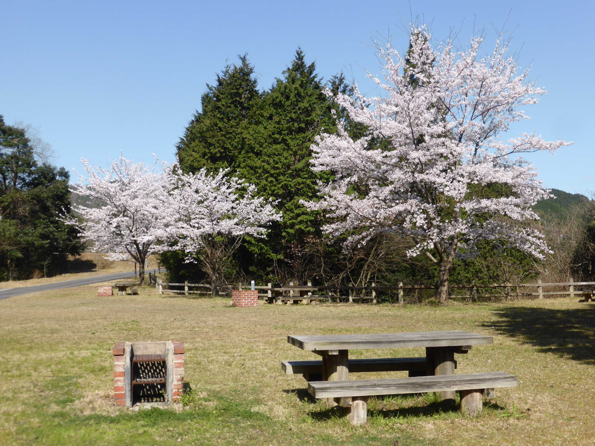 南部町森林公園キャンプ場の写真 1枚目