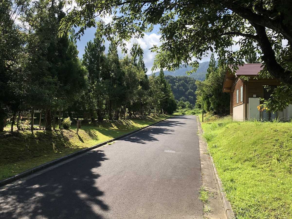 安蔵森林公園オートキャンプ場の写真 5枚目