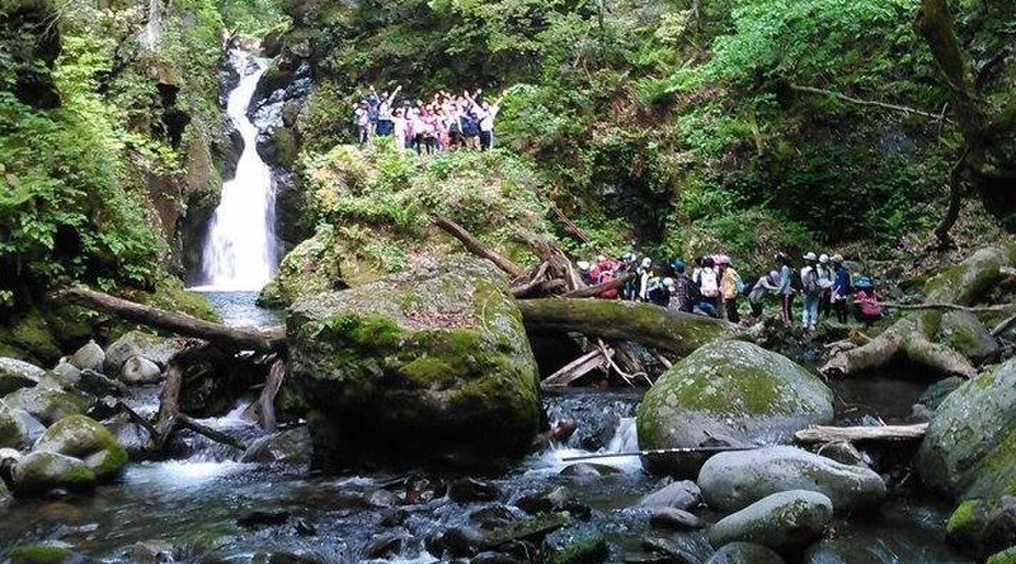 見応え抜群の山王滝はキャンプ場から徒歩10分 濡れても良い恰好でぜひ沢登りに挑戦してみてください!
