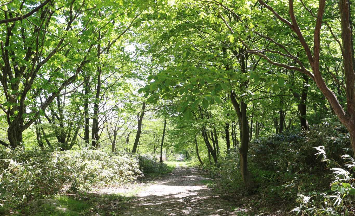 一向平キャンプ場 photo 5