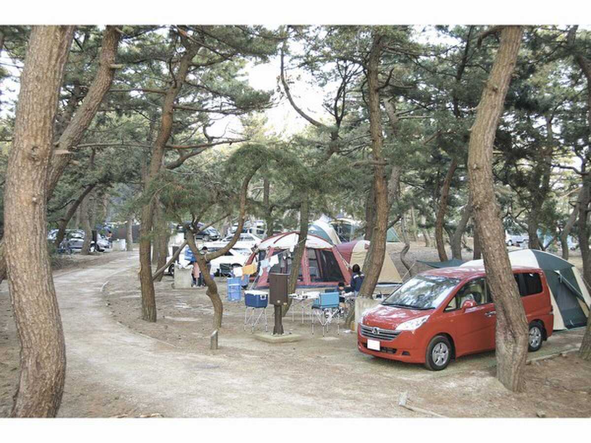 北条オートキャンプ場の写真 2枚目