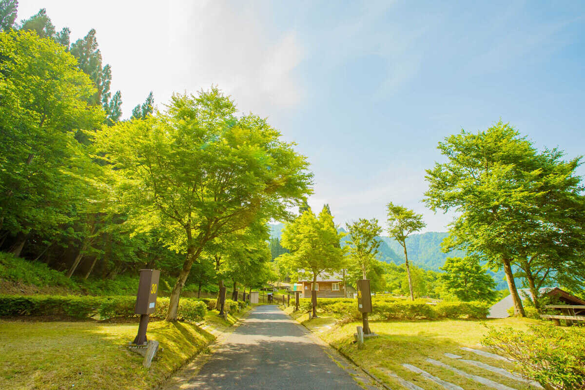 わかさ氷ノ山キャンパーズヴィレッジの写真 2枚目