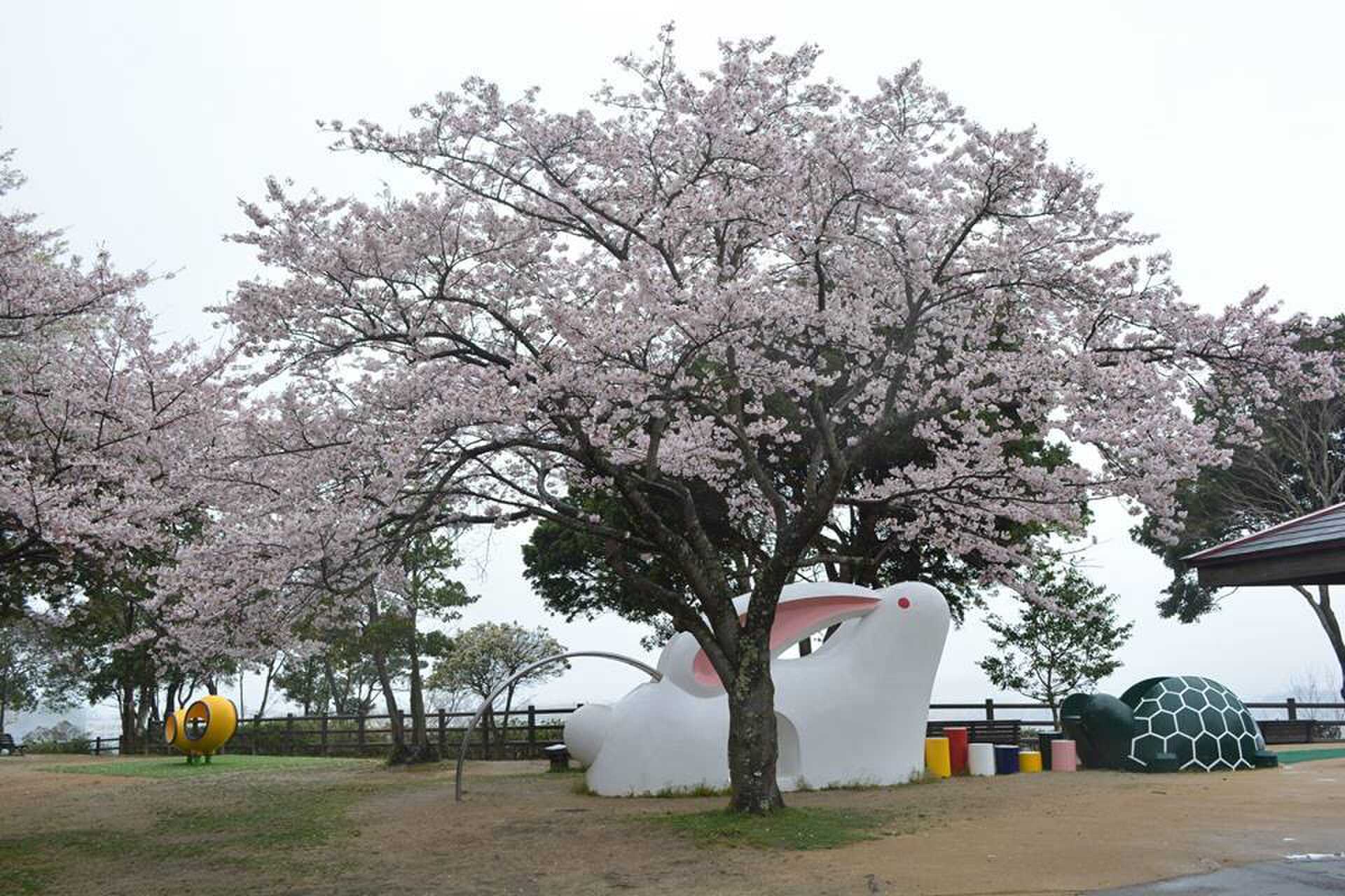 島根県立万葉公園オートキャンプ場