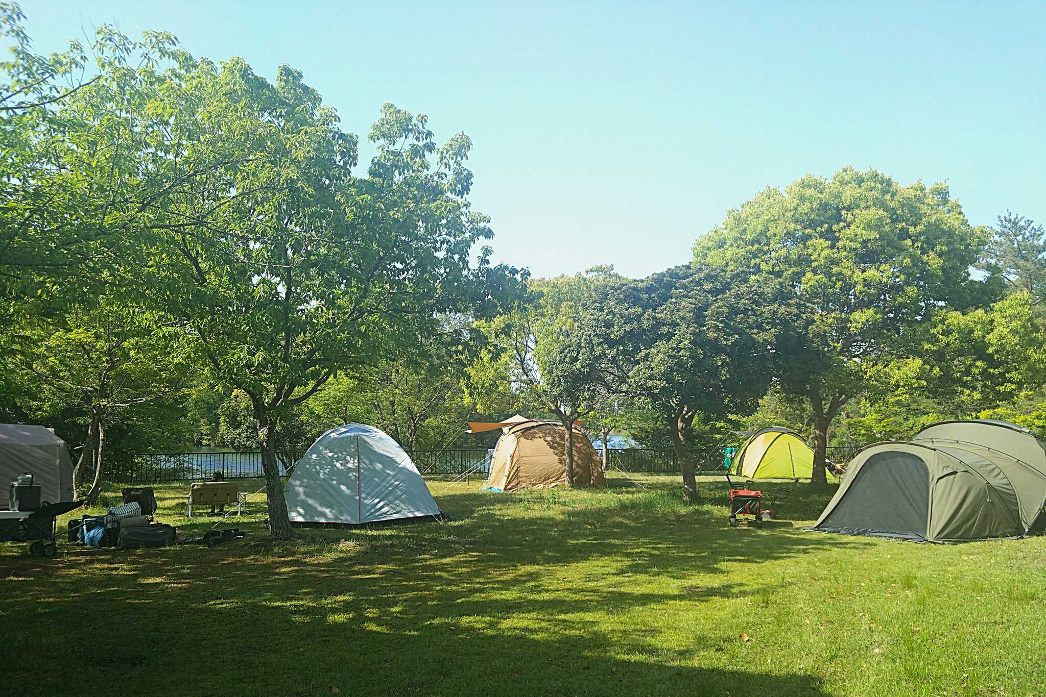 菰沢公園オートキャンプ場