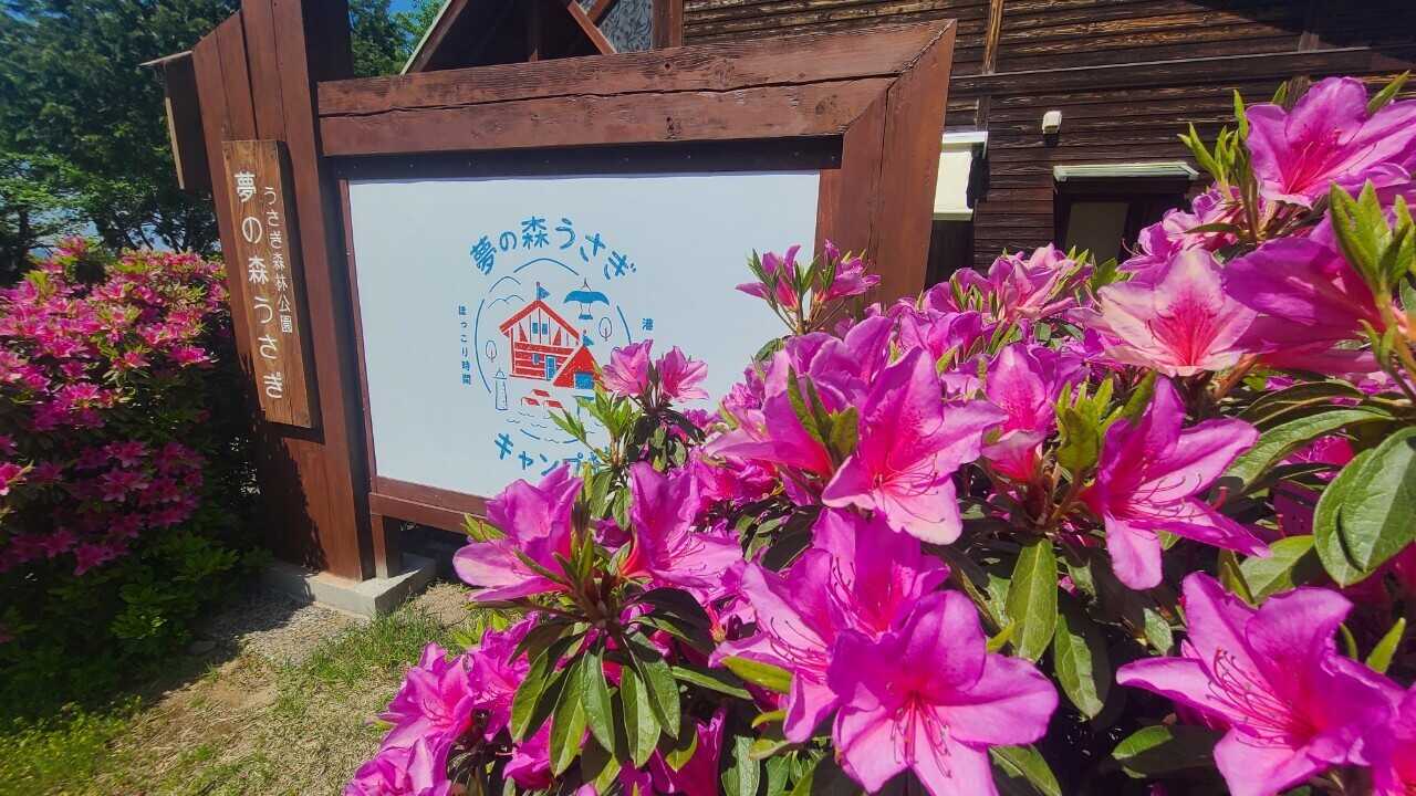 出雲市うさぎ森林公園 夢の森うさぎ キャンプ村
