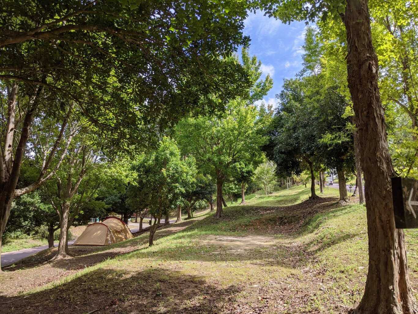 松江市宍道ふるさと森林公園 photo 3