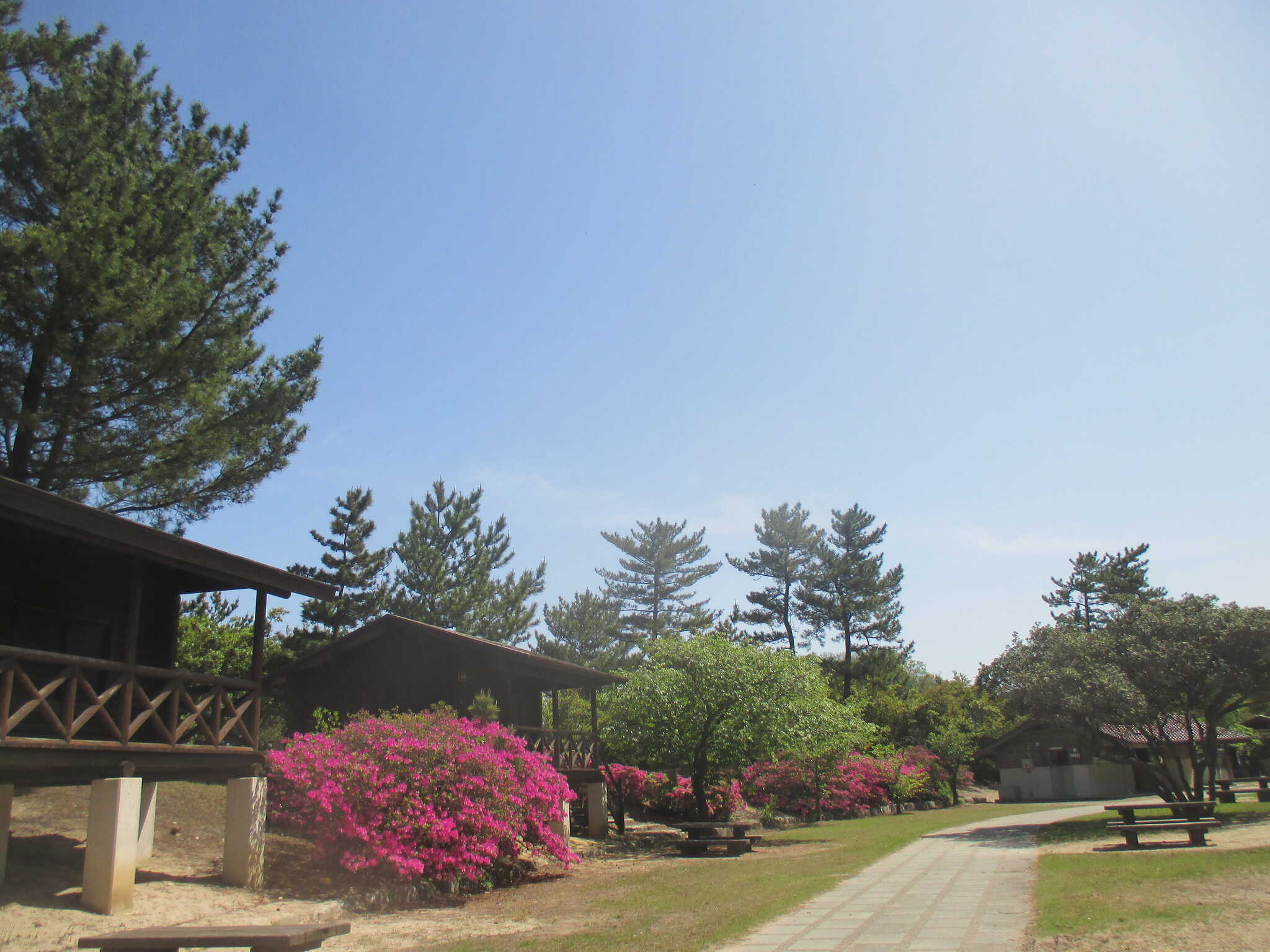 石見海浜公園キャンプ場