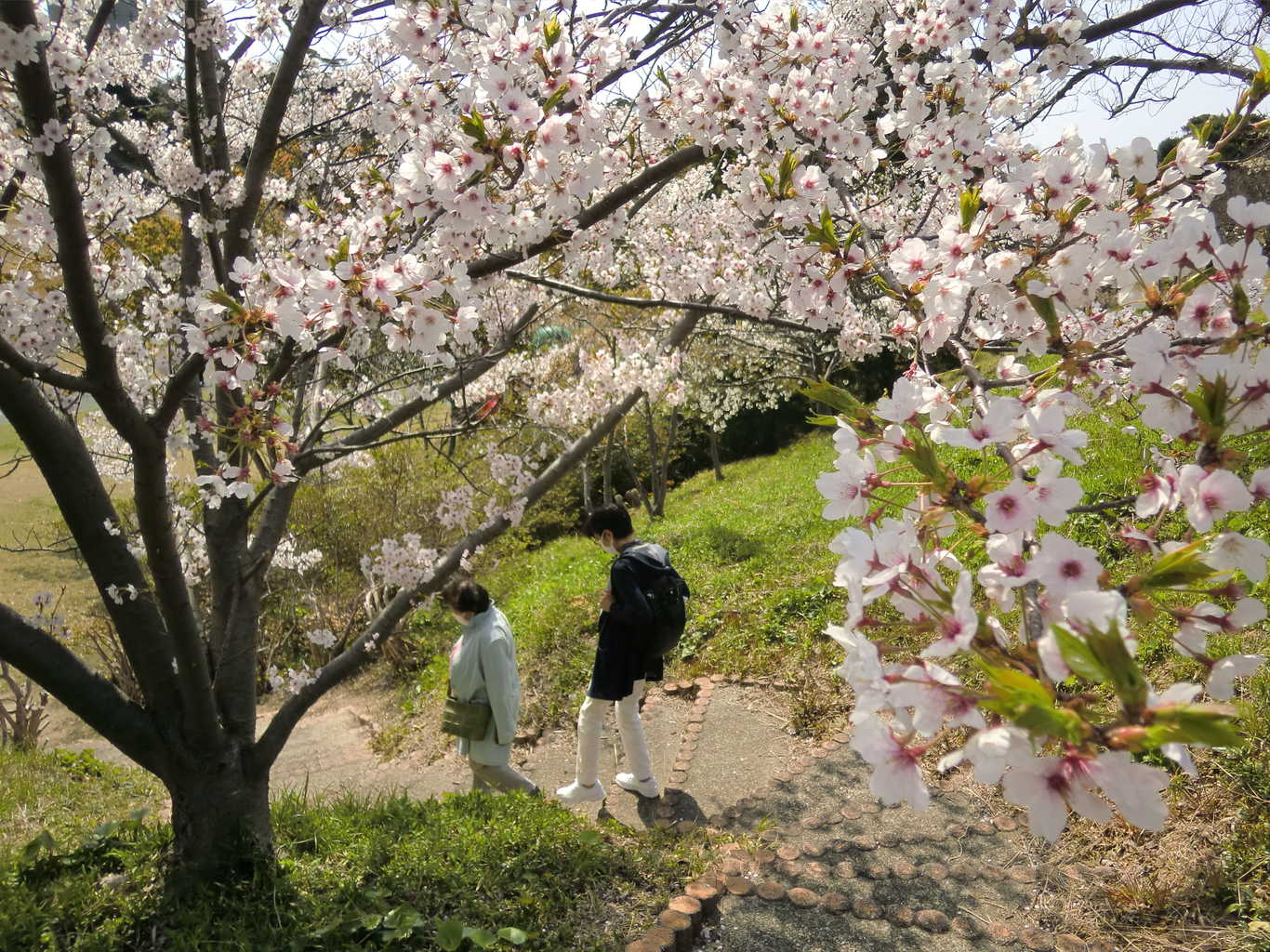 石見海浜公園キャンプ場 photo 4