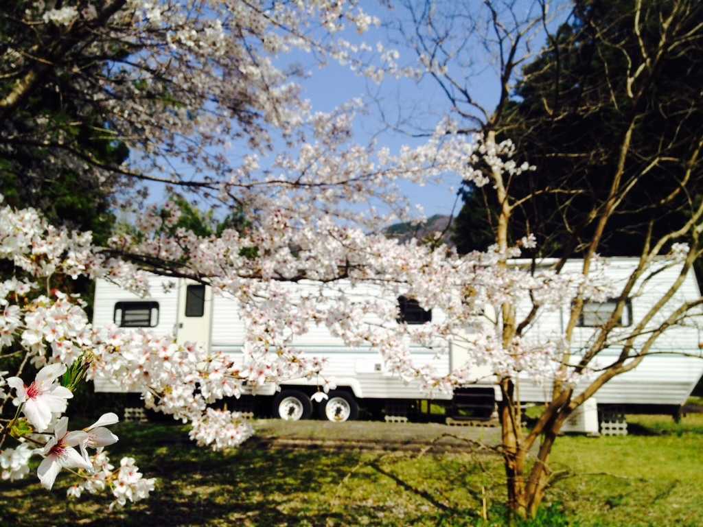 カヌーの里おおちオートキャンプ場 photo 4