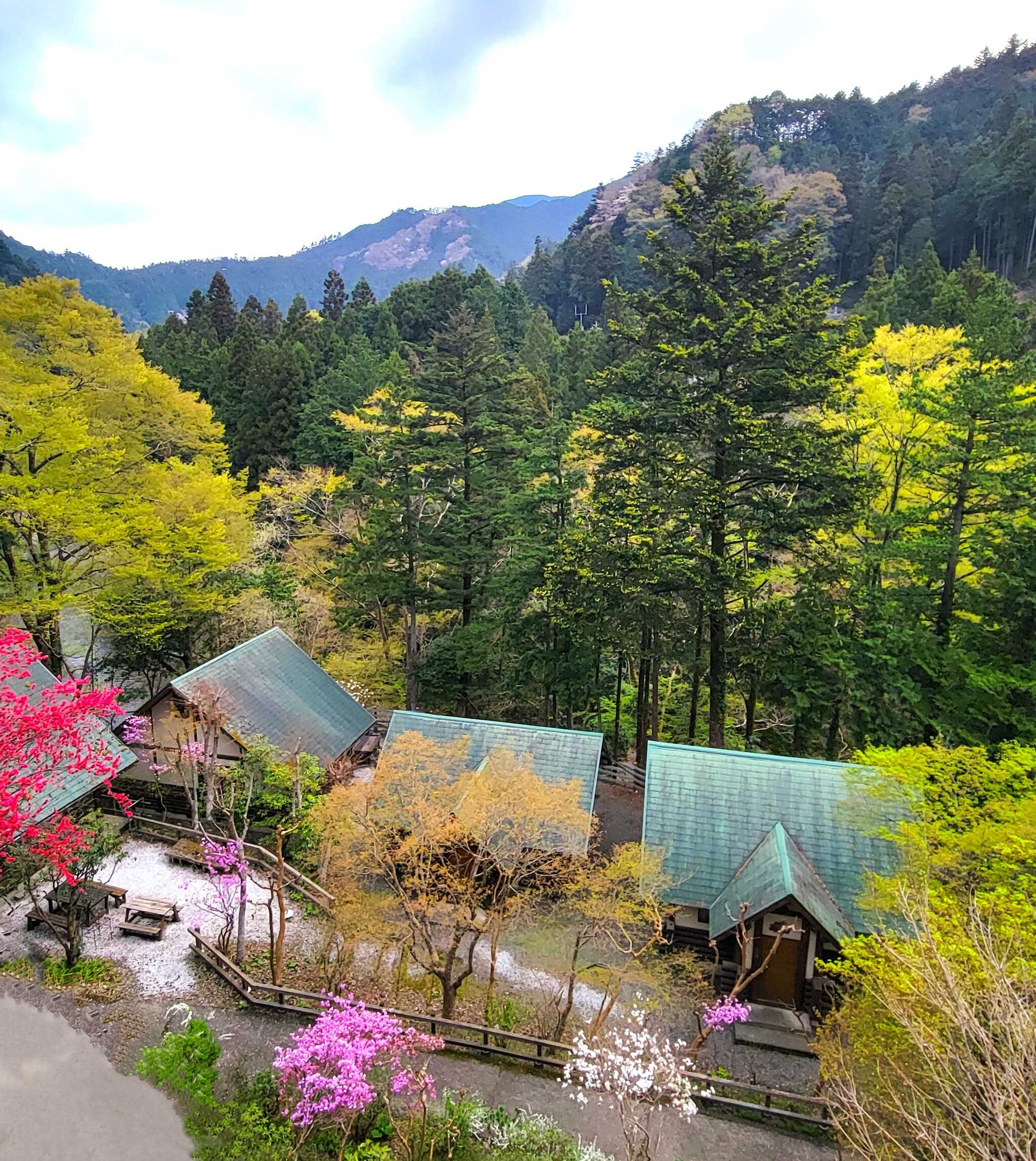 コテージ森林村
