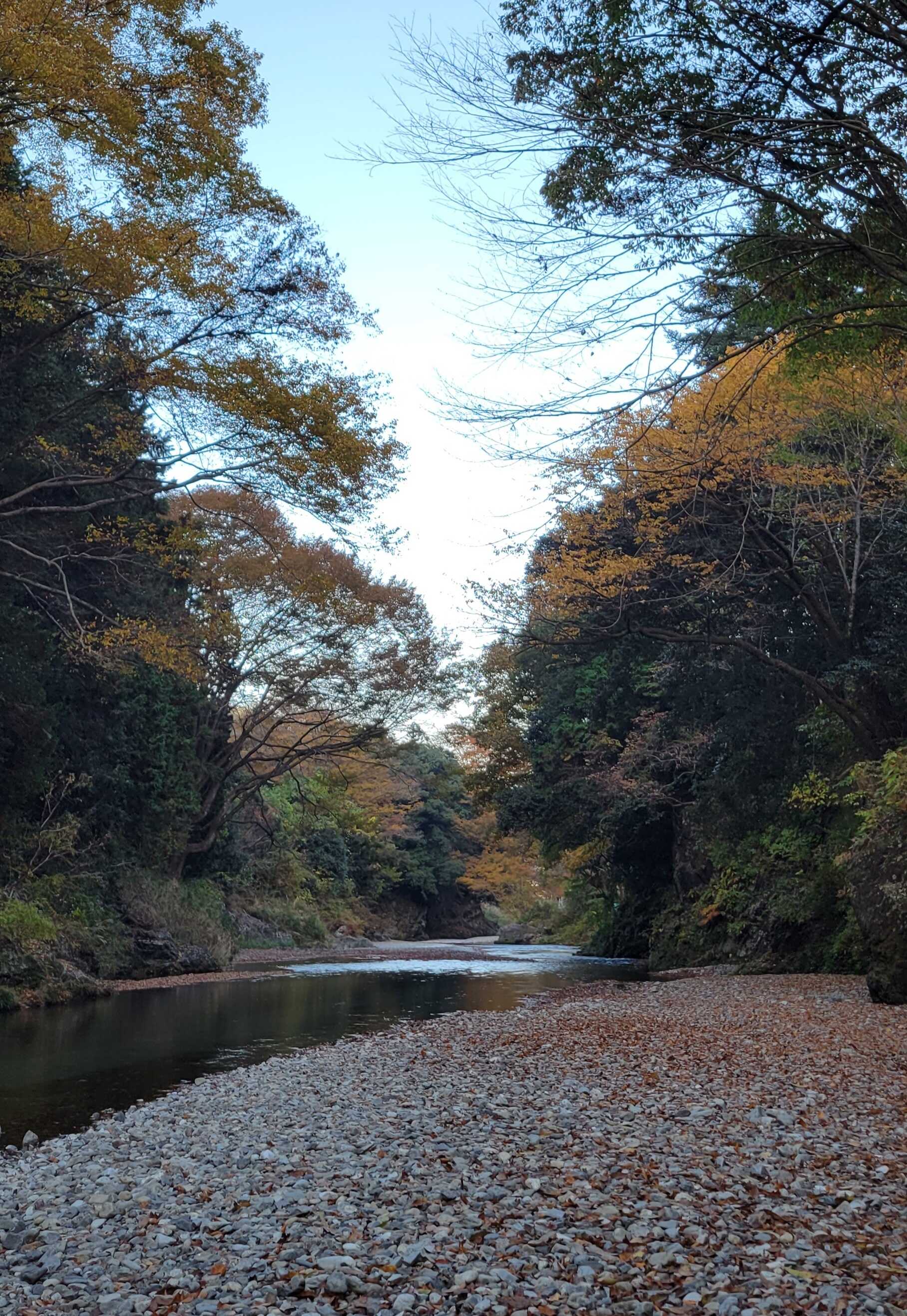 コテージ森林村