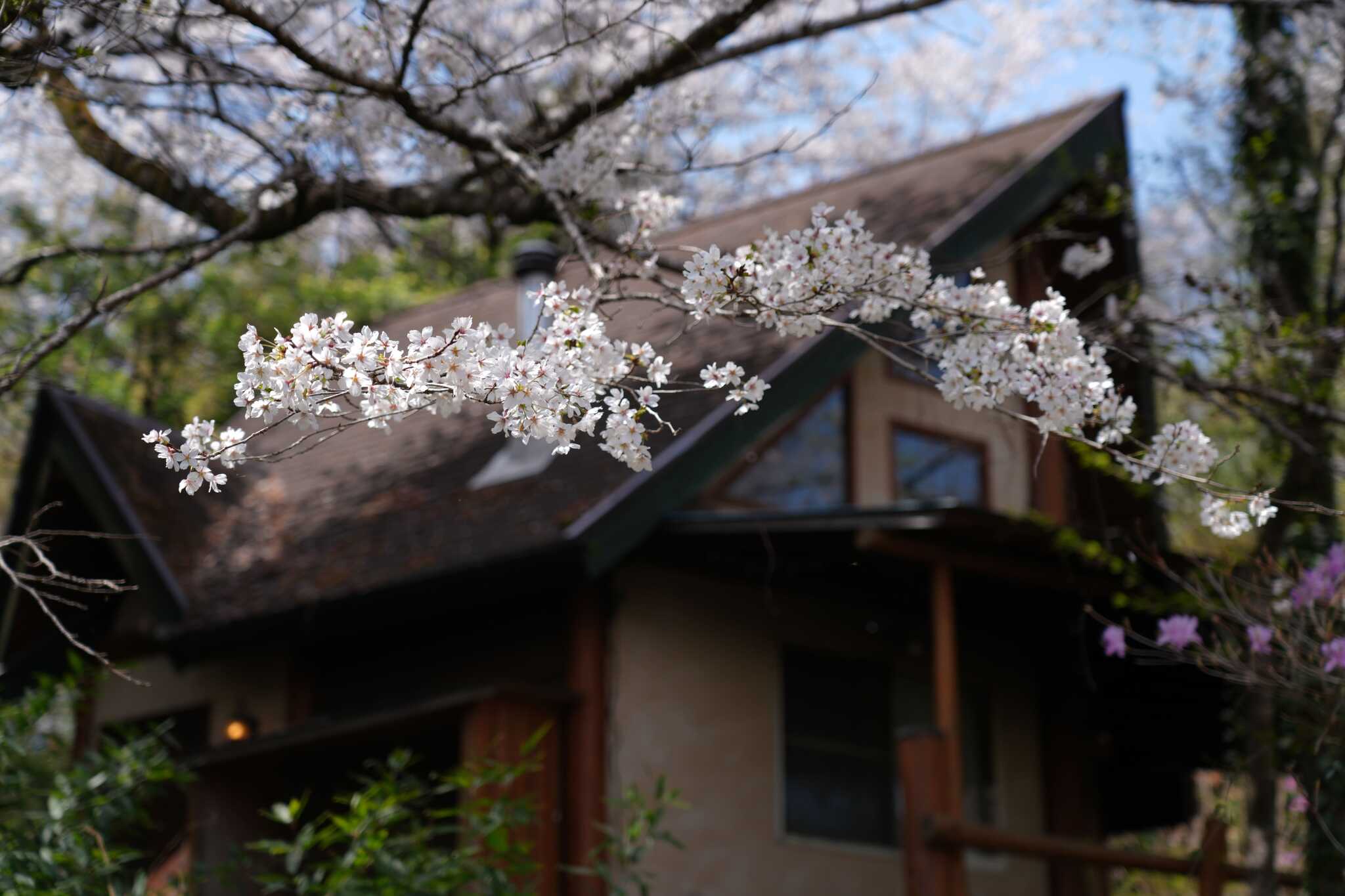3rdプレイスあきる野(旧:山田大橋キャンプ場)の写真 4枚目