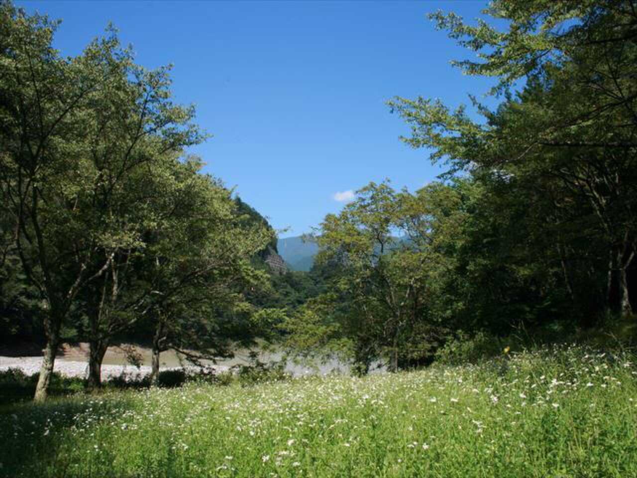 山のふるさと村キャンプ場