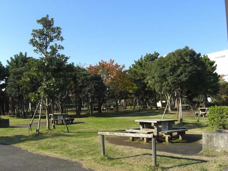 城南島海浜公園 キャンプ場
