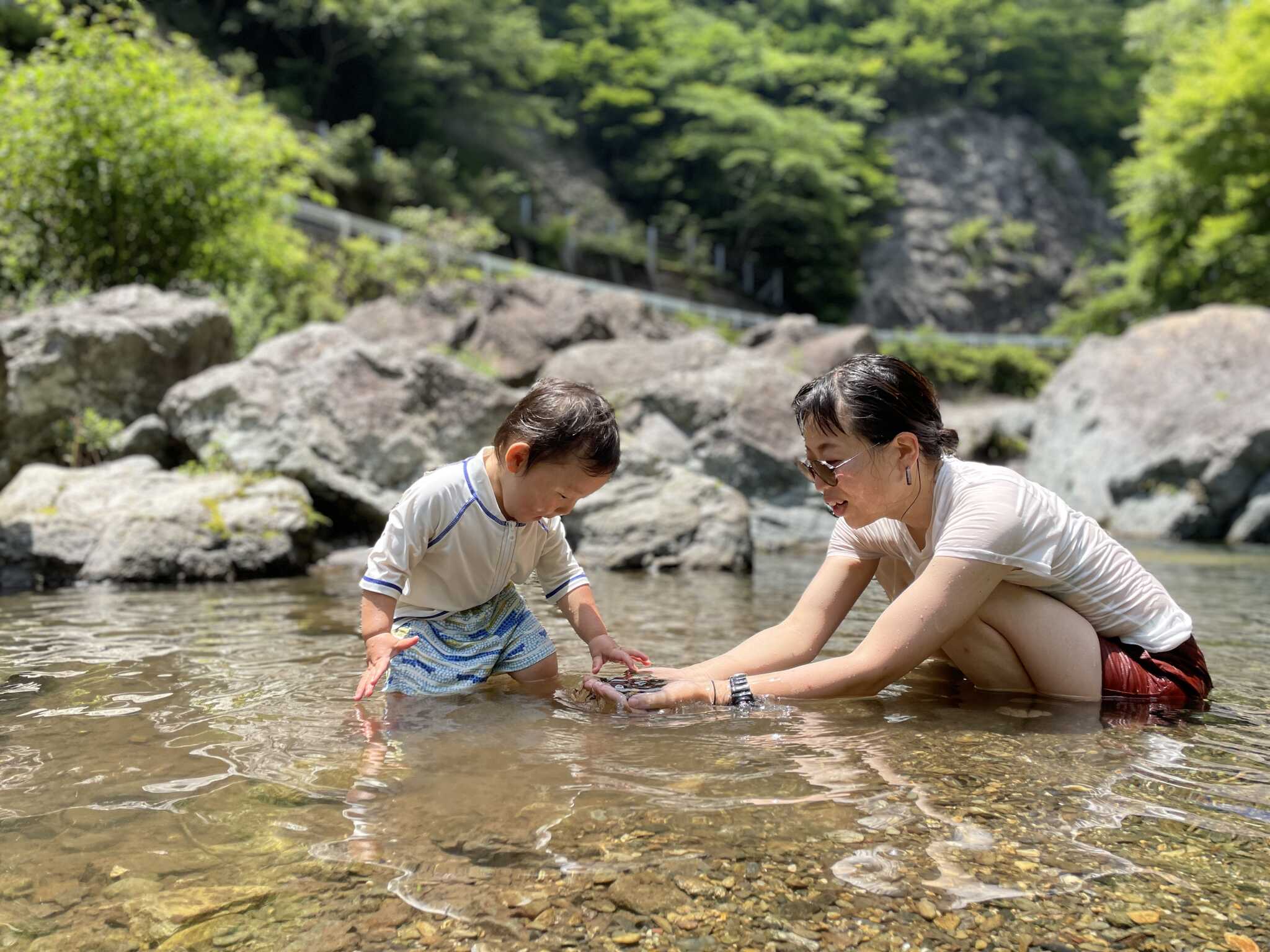 四国山岳植物園岳人の森の写真 3枚目