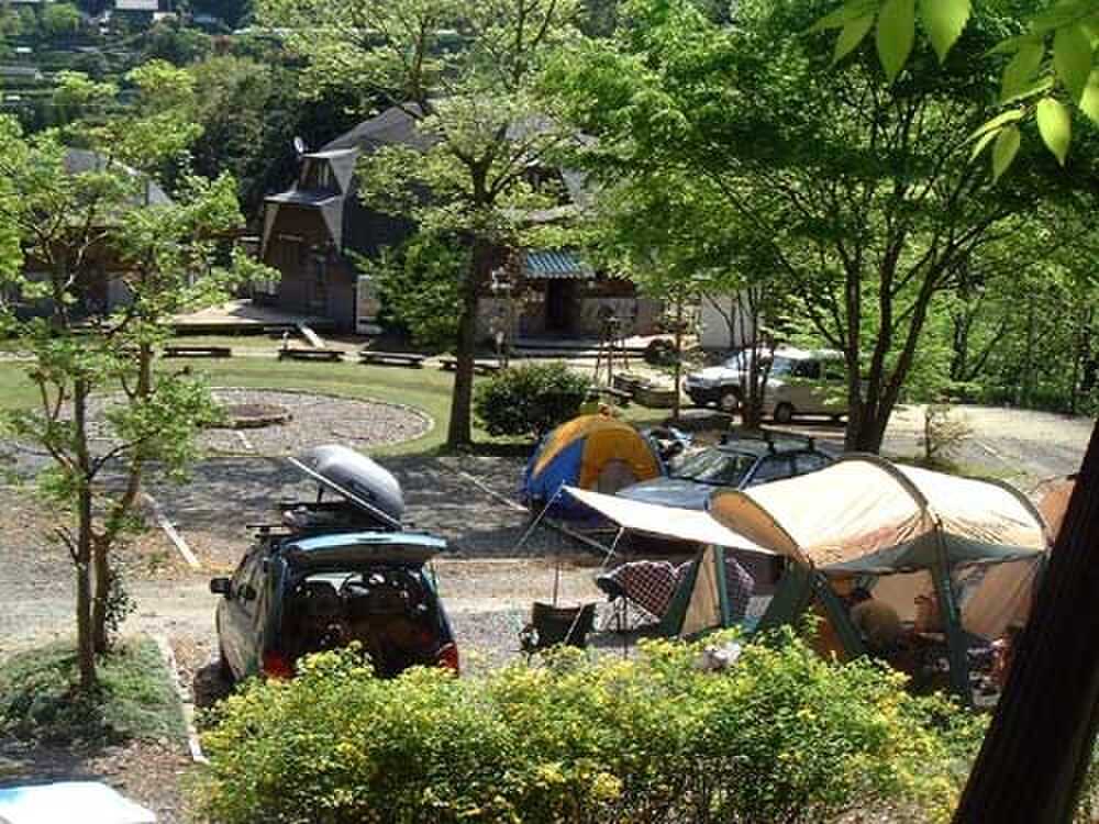 ACN・コットンフィールド
