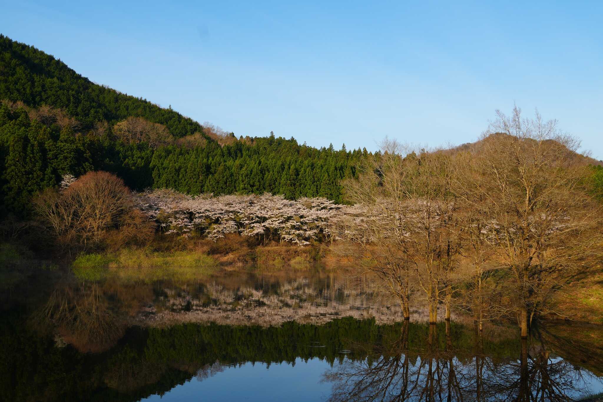 LAKE SIDE BASE(塩谷町東古屋キャンプ場)の写真 2枚目