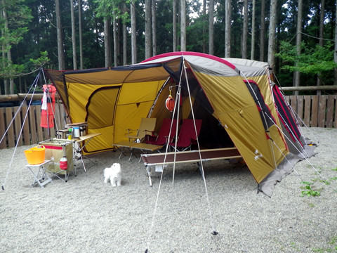 ACNオーキャン宝島 photo 4