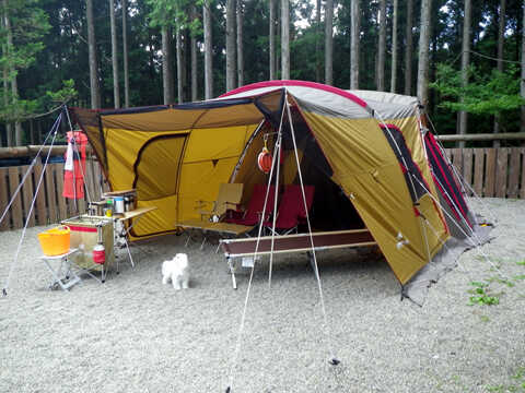 ACNオーキャン宝島