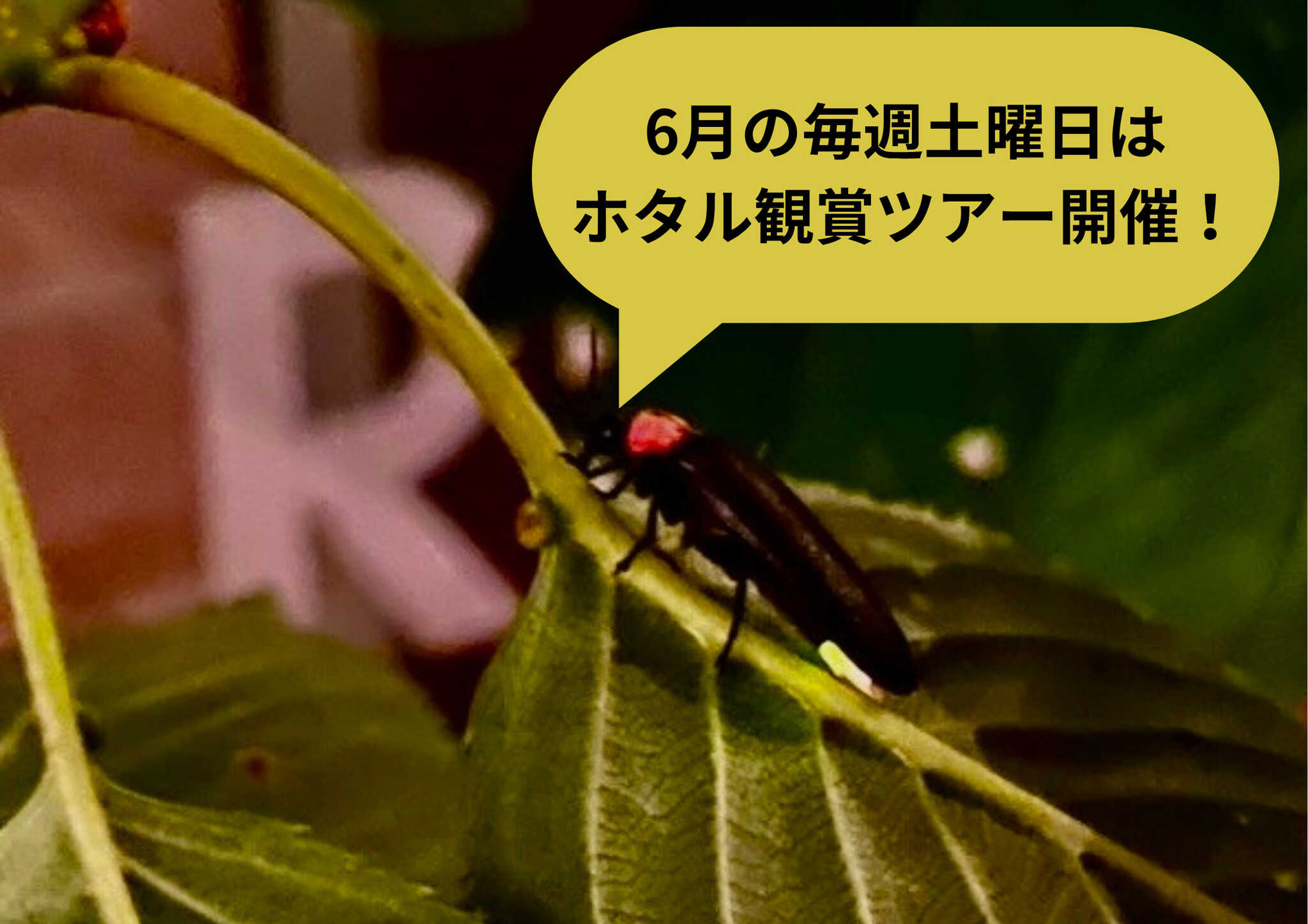 RECAMP足利(松田川ダムふれあい広場)