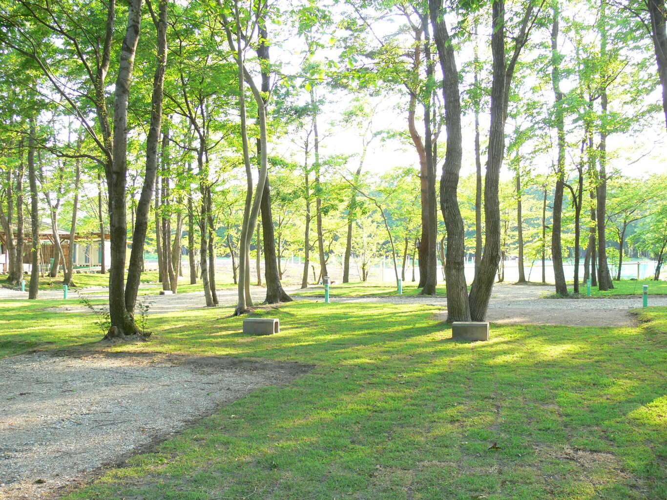 那須高原オートキャンプ場 photo 5
