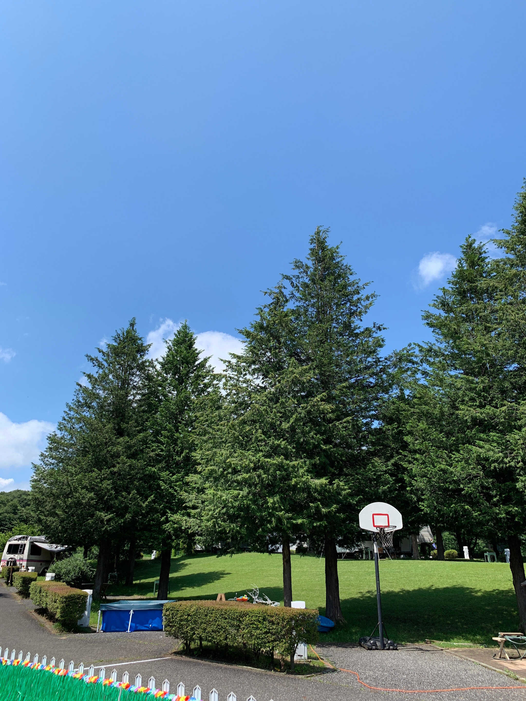 Moose Family Camp Resortの写真 2枚目