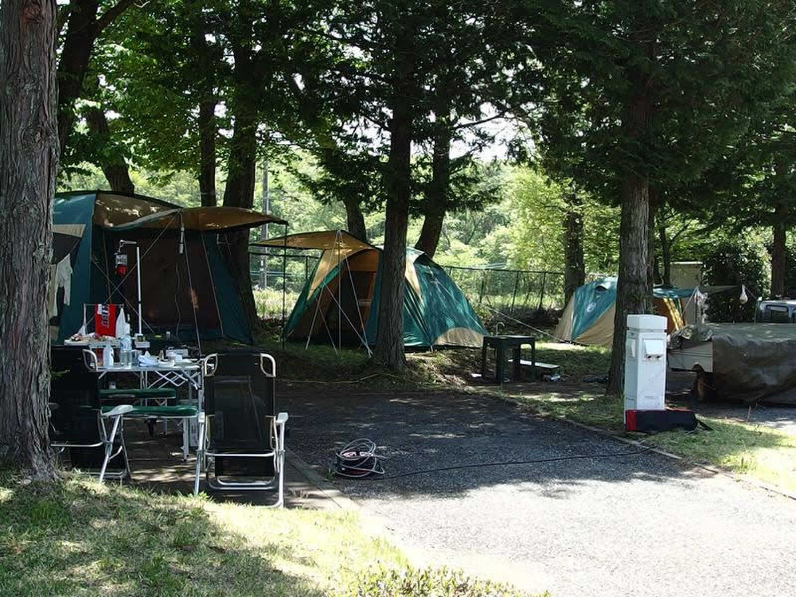 Moose Family Camp Resortの写真 5枚目