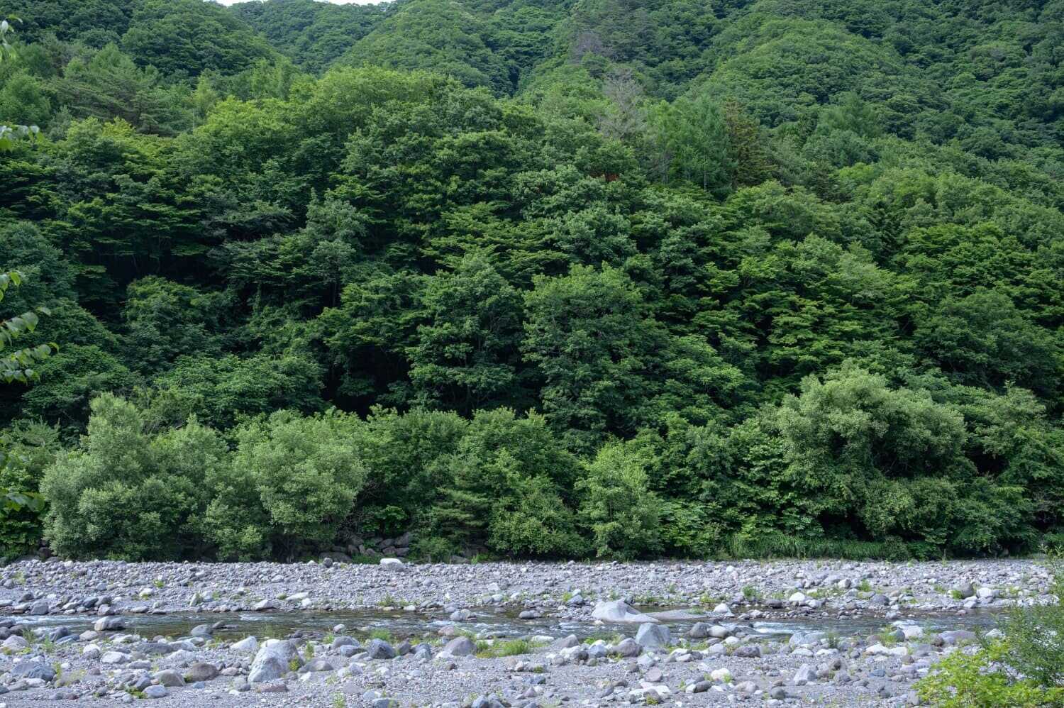 上栗山オートキャンプ場の写真 3枚目