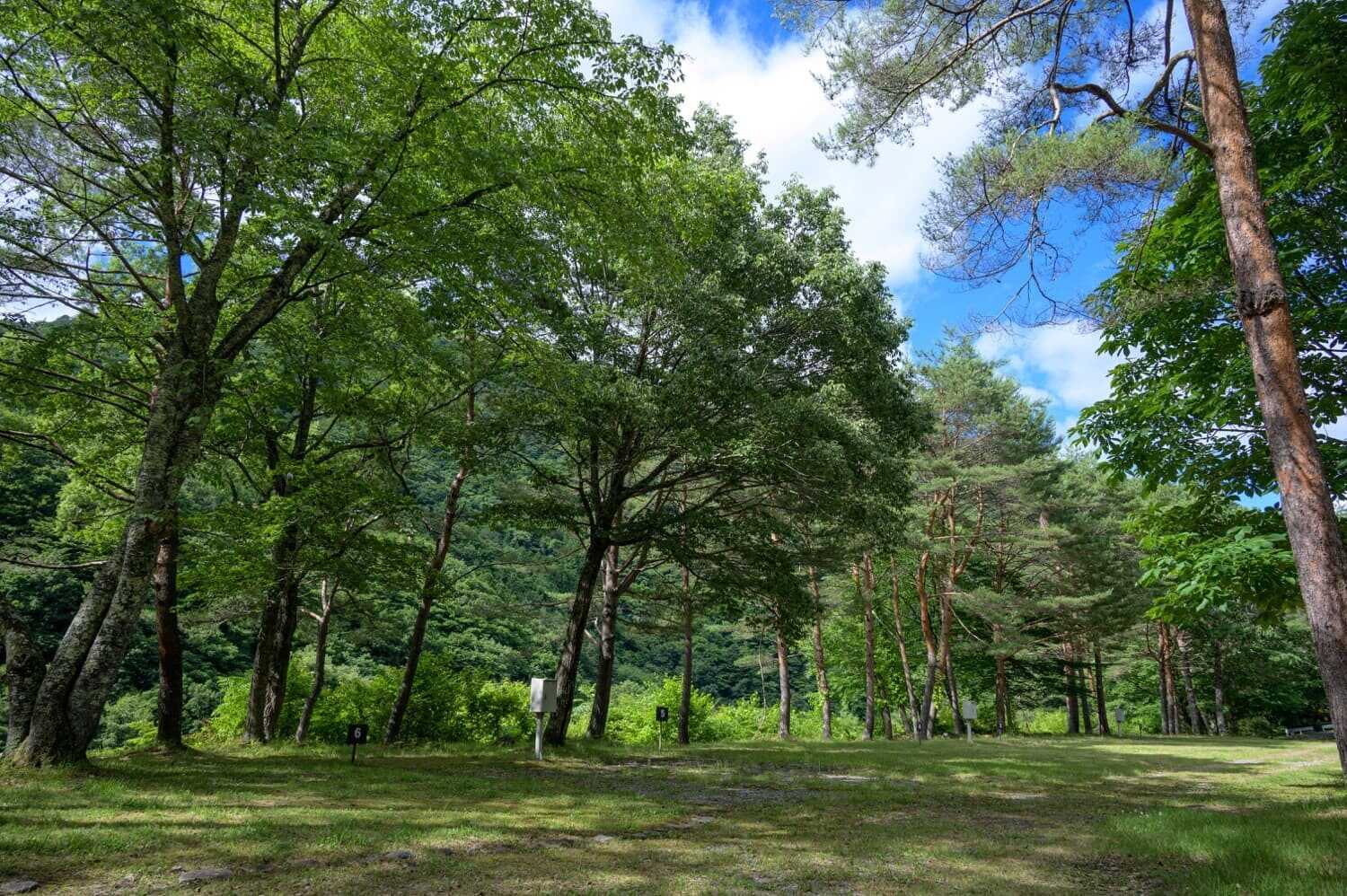 上栗山オートキャンプ場の写真 2枚目