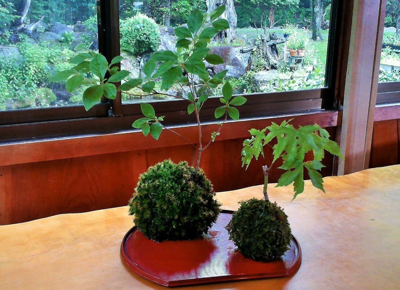 ナラ入沢渓流釣りキャンプ場 photo 5