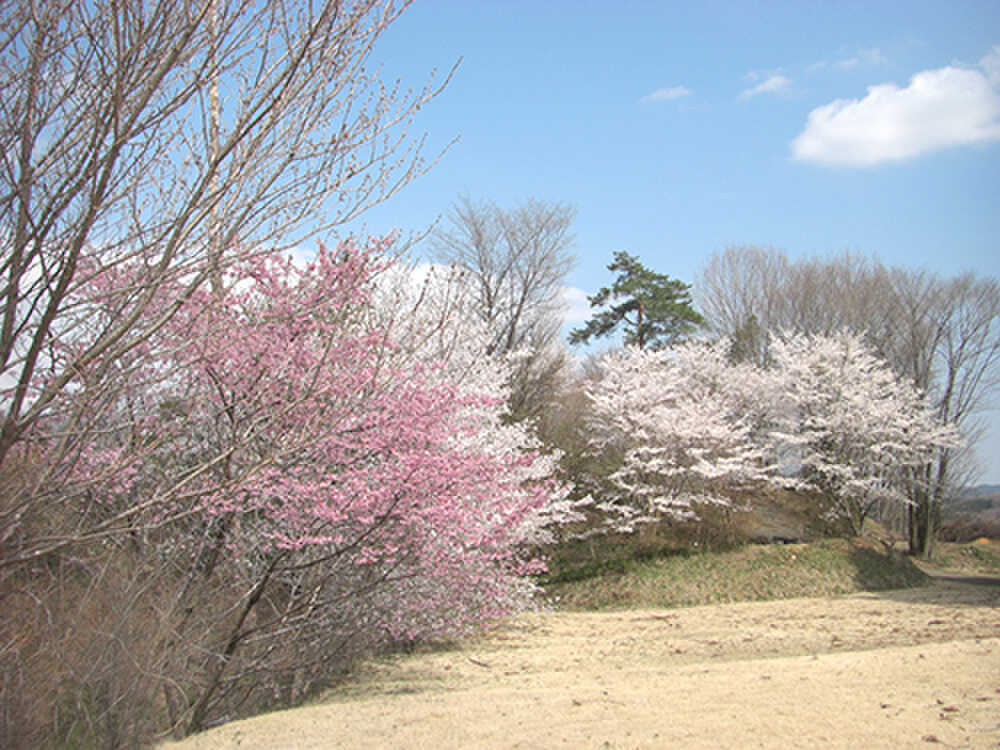 鷲の巣キャンプ場