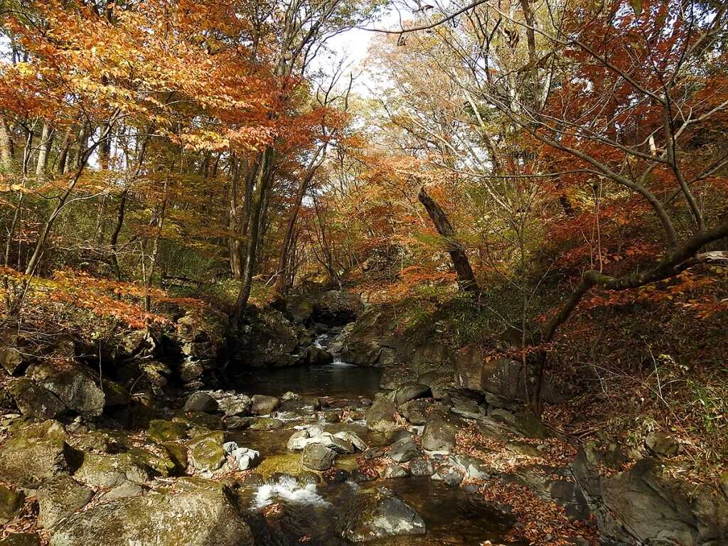 栃木県県民の森キャンプ場