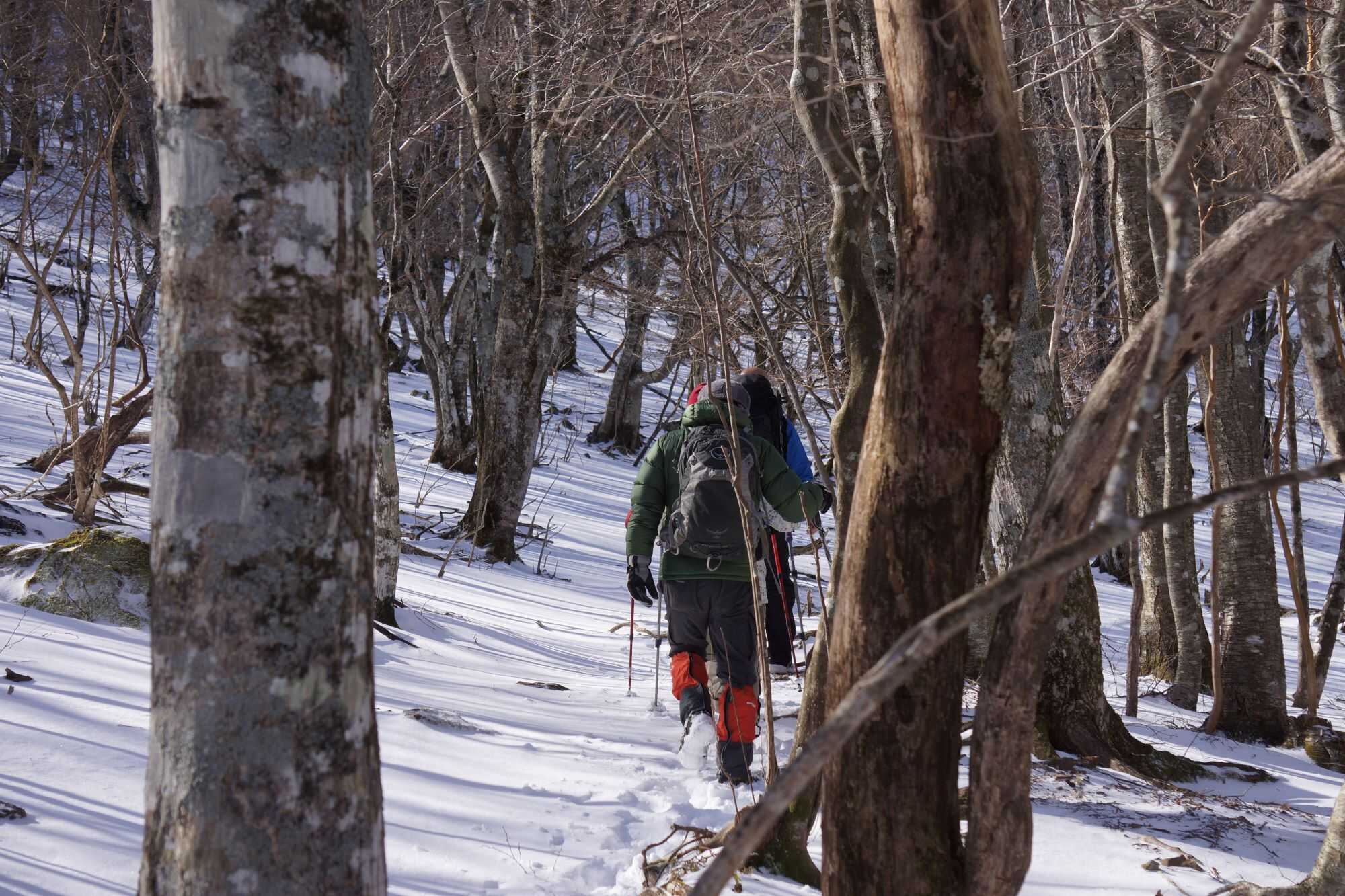WASAMATA HUTTE(旧:和佐又山ヒュッテ・キャンプ場)の写真 4枚目